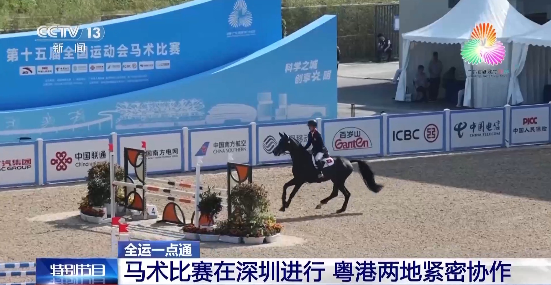 
浙江医院黄牛代挂号电话票贩子号贩子网上预约挂号,住院检查加快,视频丨十五运会马术比赛在深圳进行 粤港两地紧密协作