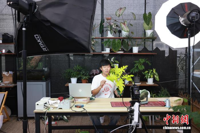 
西安市儿童医院黄牛代挂号电话票贩子号贩子网上预约挂号,住院检查加快,绿植成年轻人“新潮玩” 生活美学改写产业生态