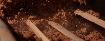 
上海肿瘤医院黄牛代挂号电话票贩子号贩子网上预约挂号,住院检查加快,总书记关心的世界文化遗产｜围楼烟火守光阴