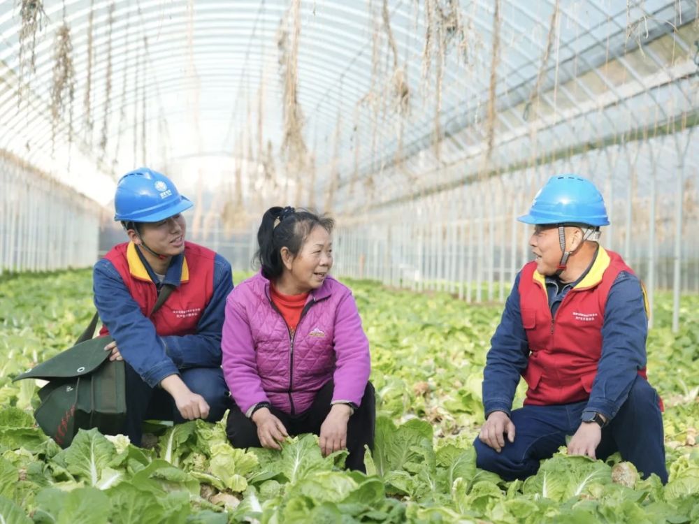 
北京积水潭医院黄牛代挂号电话票贩子号贩子网上预约挂号,住院检查加快,寒潮持续 多地多措并举保民生