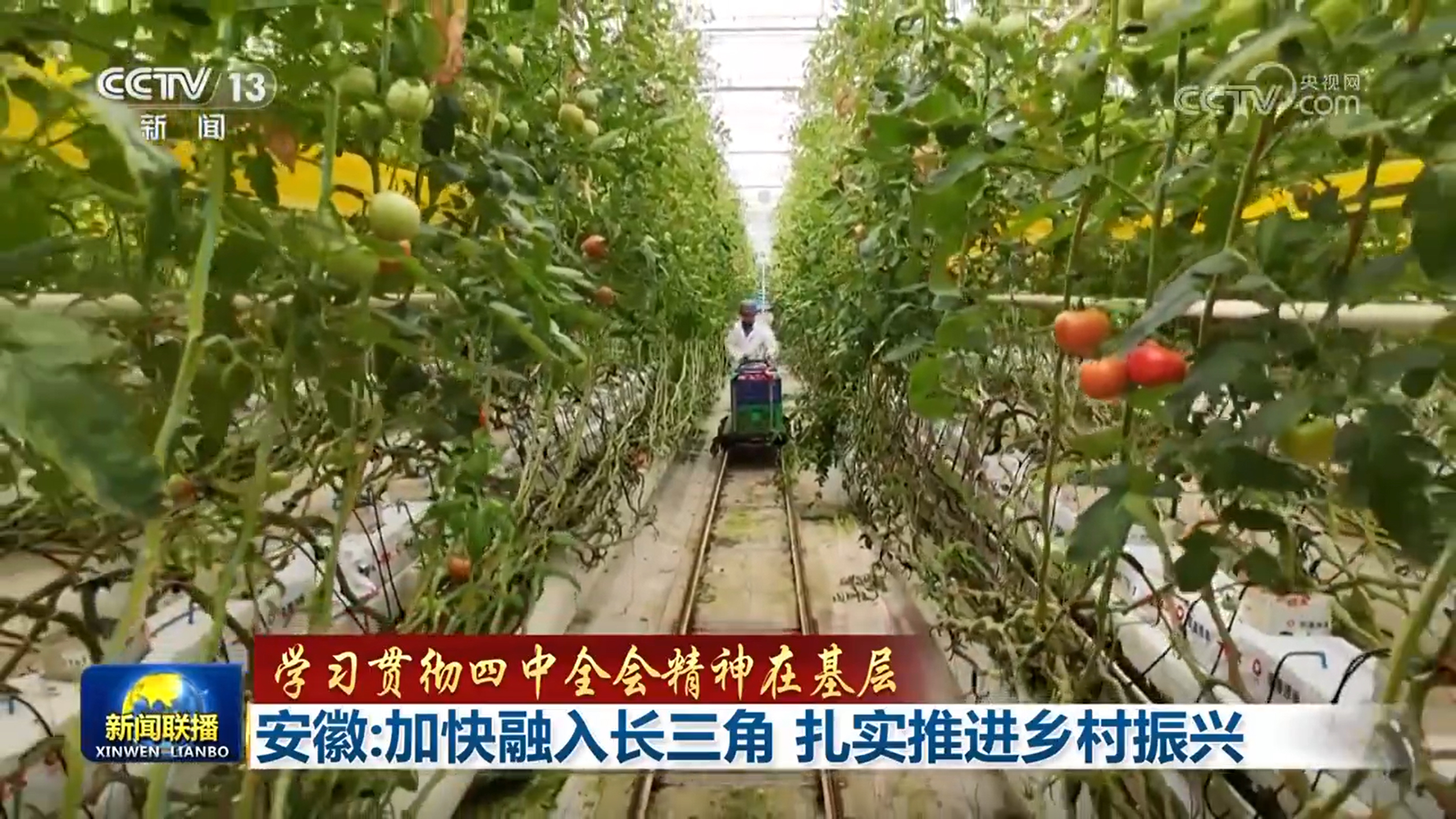 
北京妇产医院黄牛代挂号电话票贩子号贩子网上预约挂号,住院检查加快,【学习贯彻四中全会精神在基层】贵州：挖掘文旅资源 激发乡村发展活力 安徽：加快融入长三角 扎实推进乡村振兴