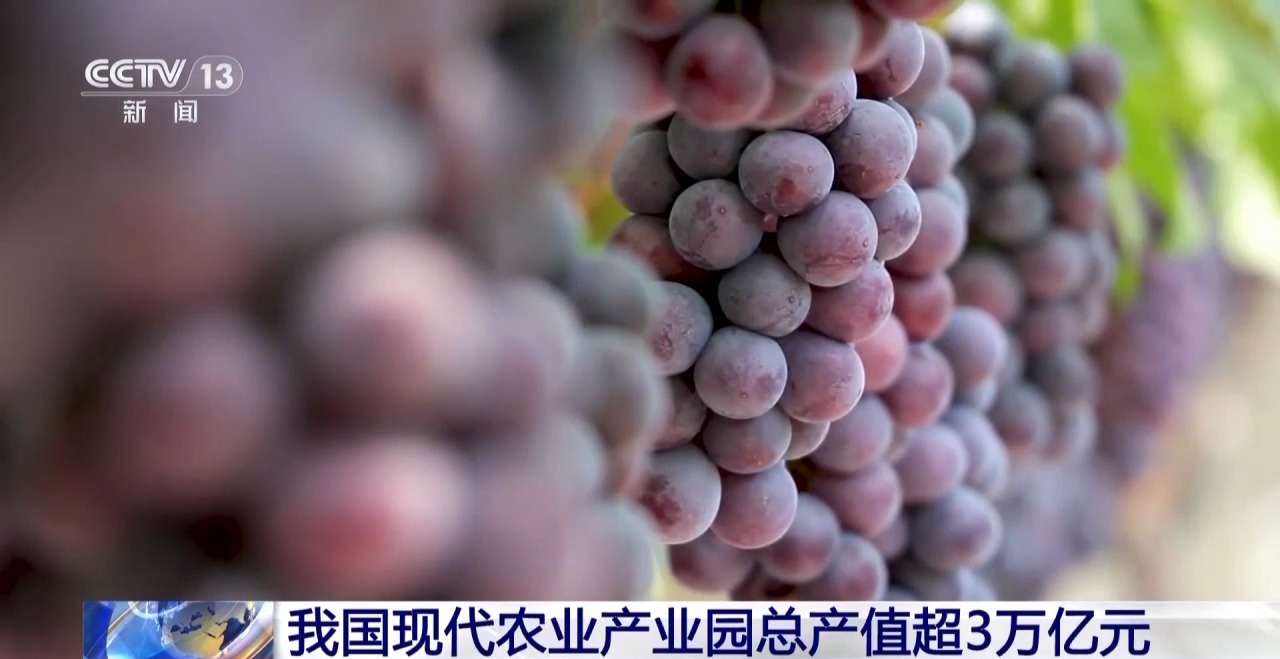 
杭州市人民医院黄牛代挂号电话票贩子号贩子网上预约挂号,住院检查加快,我国现代农业产业园总产值超3万亿元