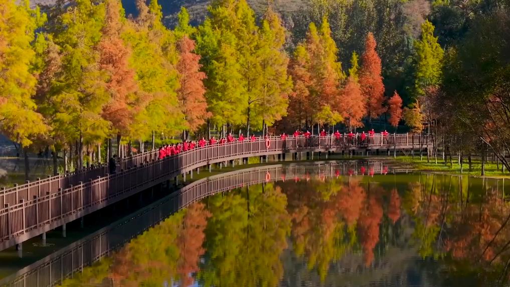 
北京世纪坛医院黄牛代挂号电话票贩子号贩子网上预约挂号,住院检查加快,新华视点｜生态绘新卷 各地绘就绿色发展好风光