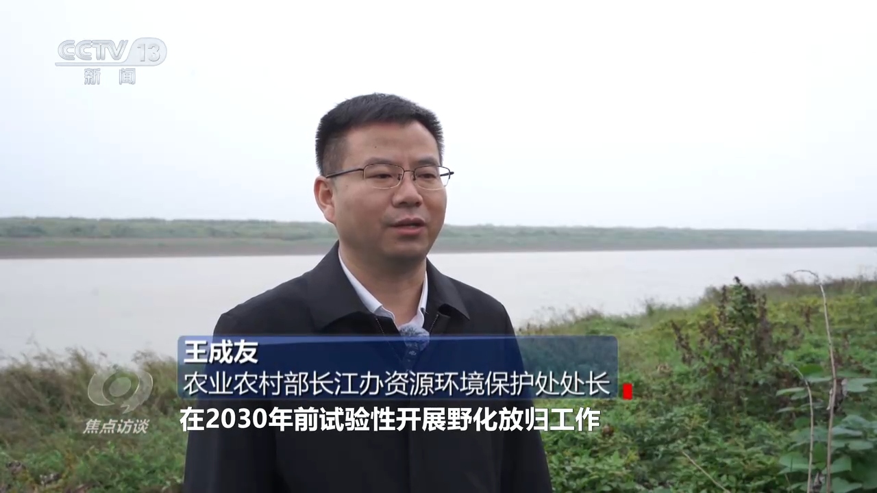 
西安西京医院黄牛代挂号电话票贩子号贩子网上预约挂号,住院检查加快,焦点访谈 | 推进长江生态保护工作 留住江豚的“微笑”