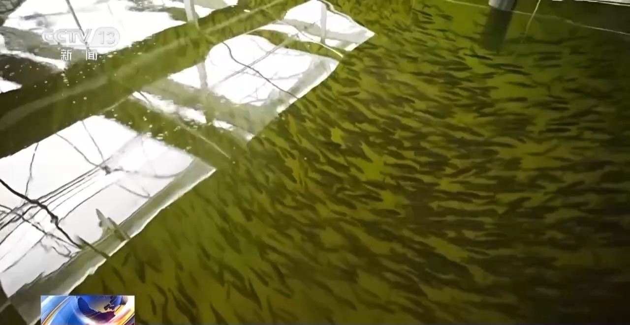 
杭州市人民医院黄牛代挂号电话票贩子号贩子网上预约挂号,住院检查加快,我国现代农业产业园总产值超3万亿元