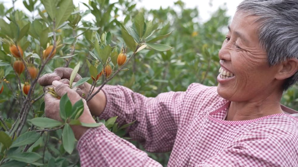 
天津眼科医院黄牛代挂号电话票贩子号贩子网上预约挂号,住院检查加快,新华视点｜中部地区贯彻落实四中全会精神 以高质量发展书写中部崛起新篇章
