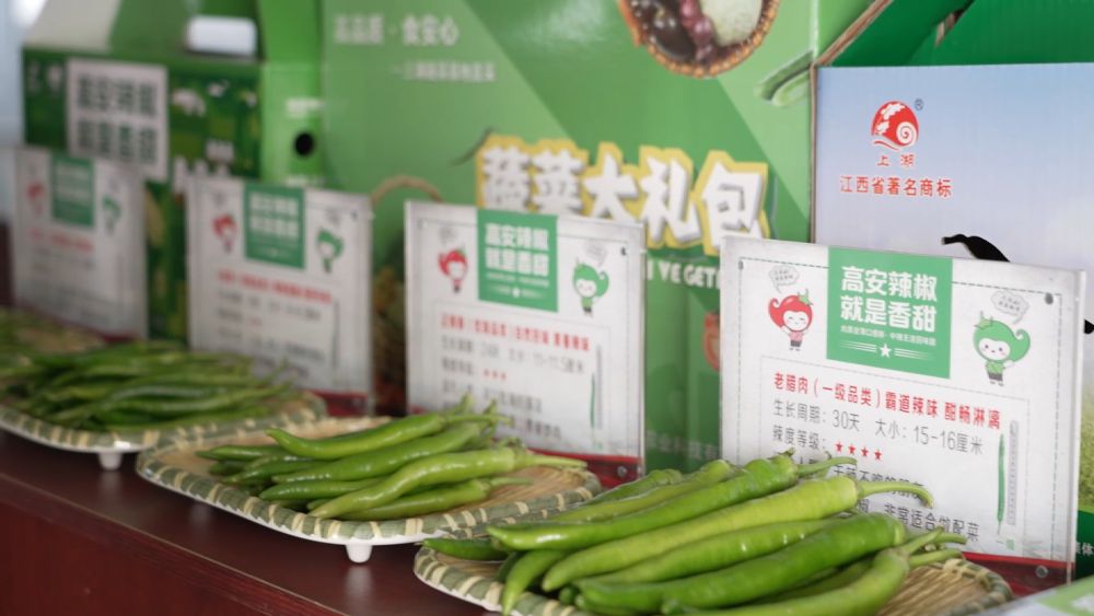 
天津眼科医院黄牛代挂号电话票贩子号贩子网上预约挂号,住院检查加快,新华视点｜中部地区贯彻落实四中全会精神 以高质量发展书写中部崛起新篇章