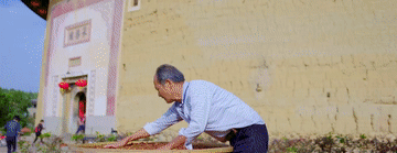 
上海肿瘤医院黄牛代挂号电话票贩子号贩子网上预约挂号,住院检查加快,总书记关心的世界文化遗产｜围楼烟火守光阴