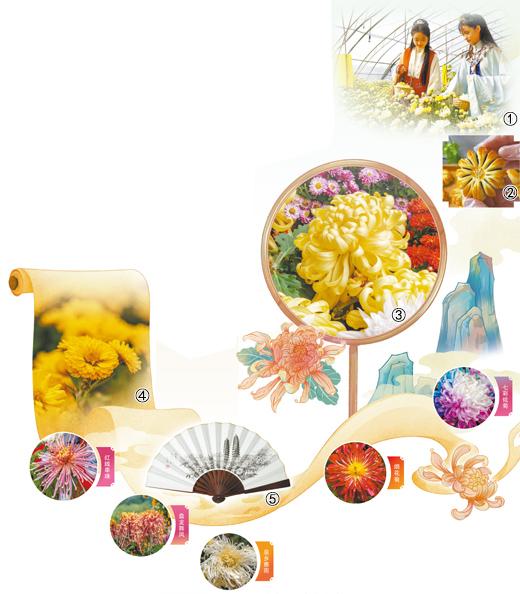 
广东省人民医院黄牛代挂号电话票贩子号贩子网上预约挂号,住院检查加快,花开傲霜枝 菊色满晋阳（一朵花读懂一座城）