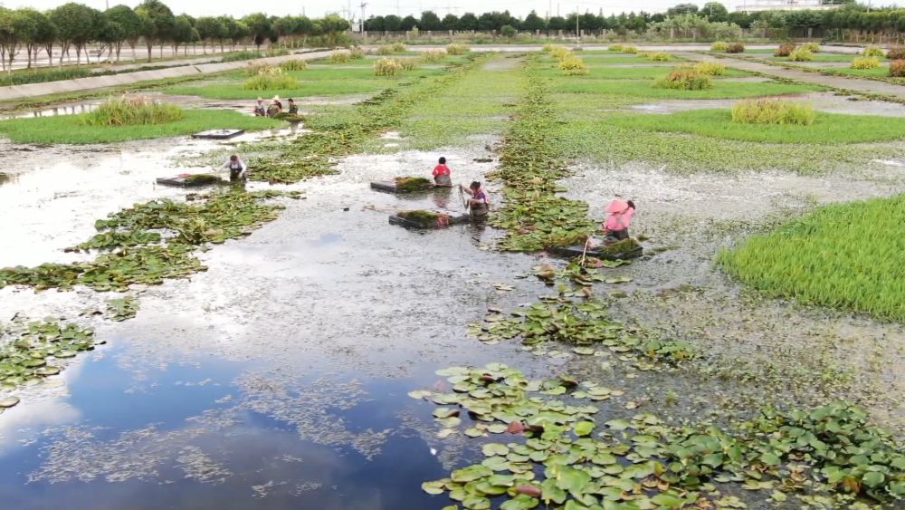 
天津眼科医院黄牛代挂号电话票贩子号贩子网上预约挂号,住院检查加快,新华视点｜中部地区贯彻落实四中全会精神 以高质量发展书写中部崛起新篇章