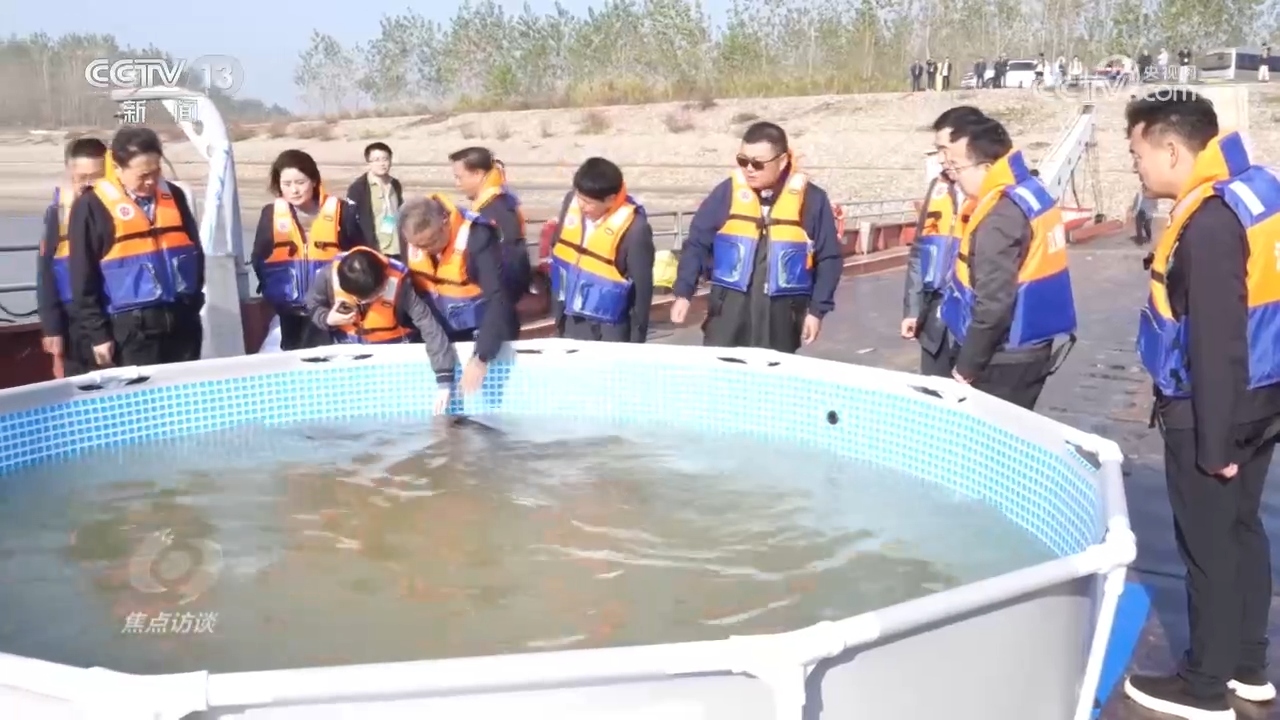 
西安西京医院黄牛代挂号电话票贩子号贩子网上预约挂号,住院检查加快,焦点访谈 | 推进长江生态保护工作 留住江豚的“微笑”