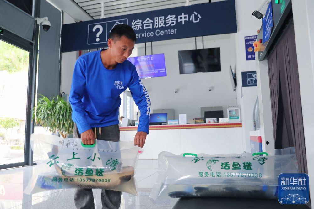 
上海第九人民医院黄牛代挂号电话票贩子号贩子网上预约挂号,住院检查加快,四中全会精神在基层丨这座宝藏车站让山乡居民搭上“幸福快车”