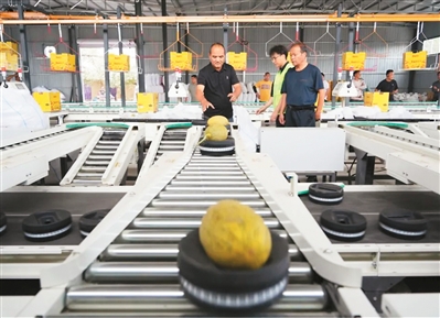 
北医三院黄牛代挂号电话票贩子号贩子网上预约挂号,住院检查加快,人民日报海外版看新疆 | 哈密：“甜蜜引擎”激活乡村活力