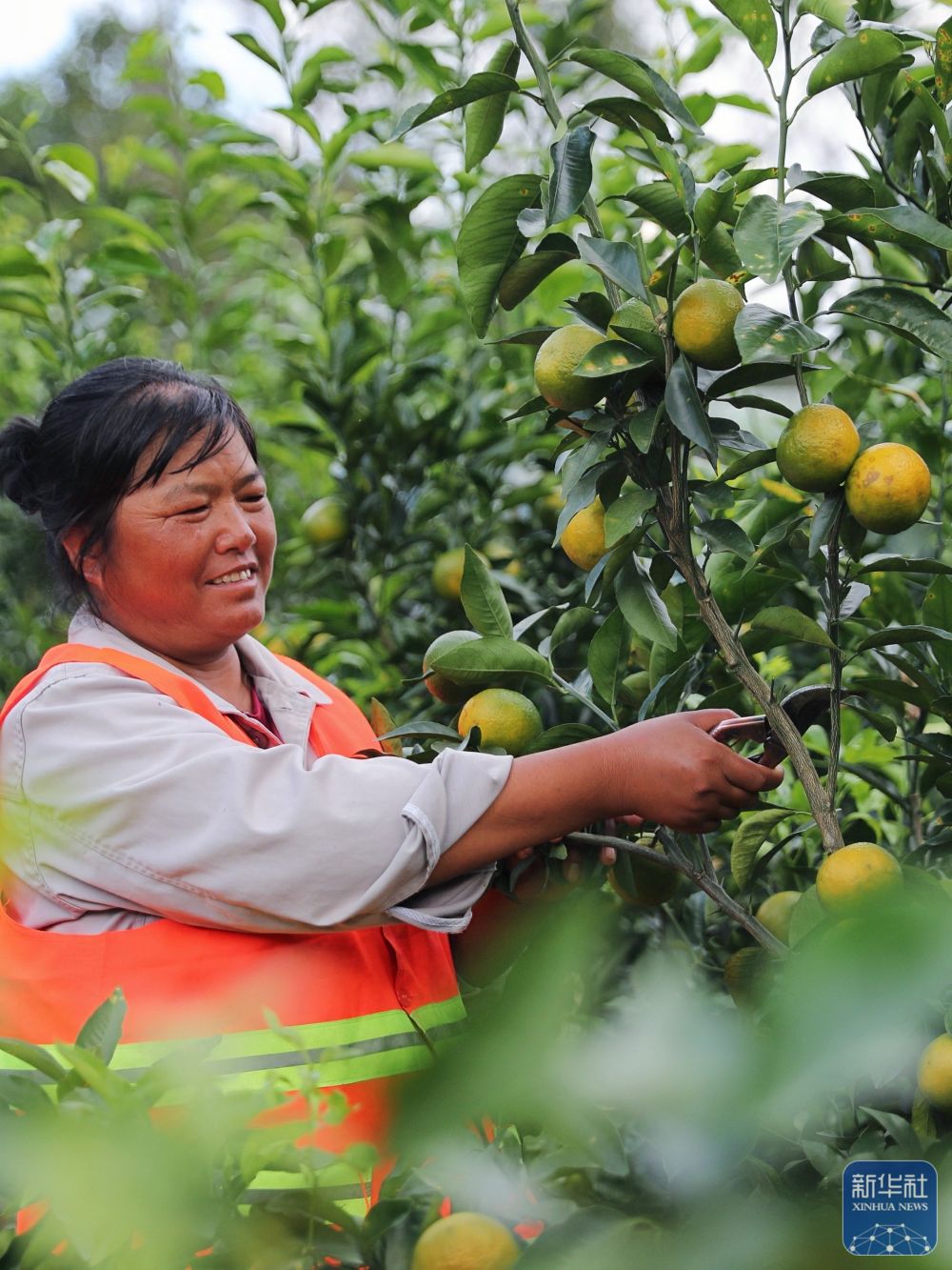 
上海第九人民医院黄牛代挂号电话票贩子号贩子网上预约挂号,住院检查加快,四中全会精神在基层丨这座宝藏车站让山乡居民搭上“幸福快车”