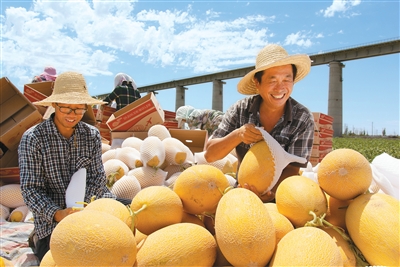 
北医三院黄牛代挂号电话票贩子号贩子网上预约挂号,住院检查加快,人民日报海外版看新疆 | 哈密：“甜蜜引擎”激活乡村活力