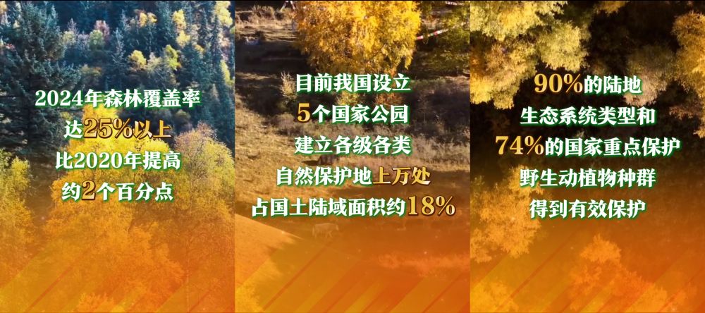 
长沙各大医院黄牛代挂号电话票贩子号贩子网上预约挂号,住院检查加快,新发展理念看变化｜绿色发展享自然