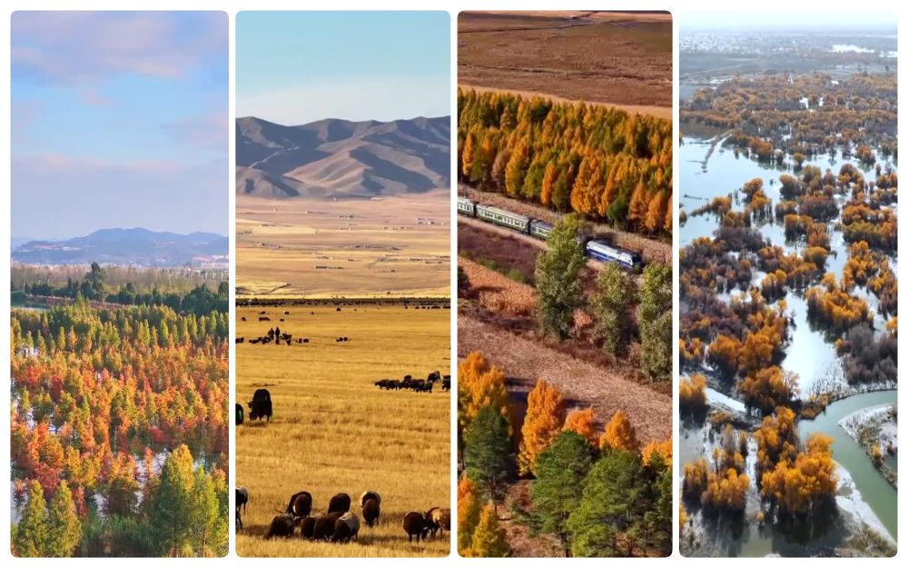 
北京各大医院黄牛代挂号电话票贩子号贩子网上预约挂号,住院检查加快,文化中国行｜赏秋正当时！“文旅+”新业态为秋日经济注入新活力