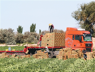 
北医三院黄牛代挂号电话票贩子号贩子网上预约挂号,住院检查加快,人民日报海外版看新疆 | 哈密：“甜蜜引擎”激活乡村活力
