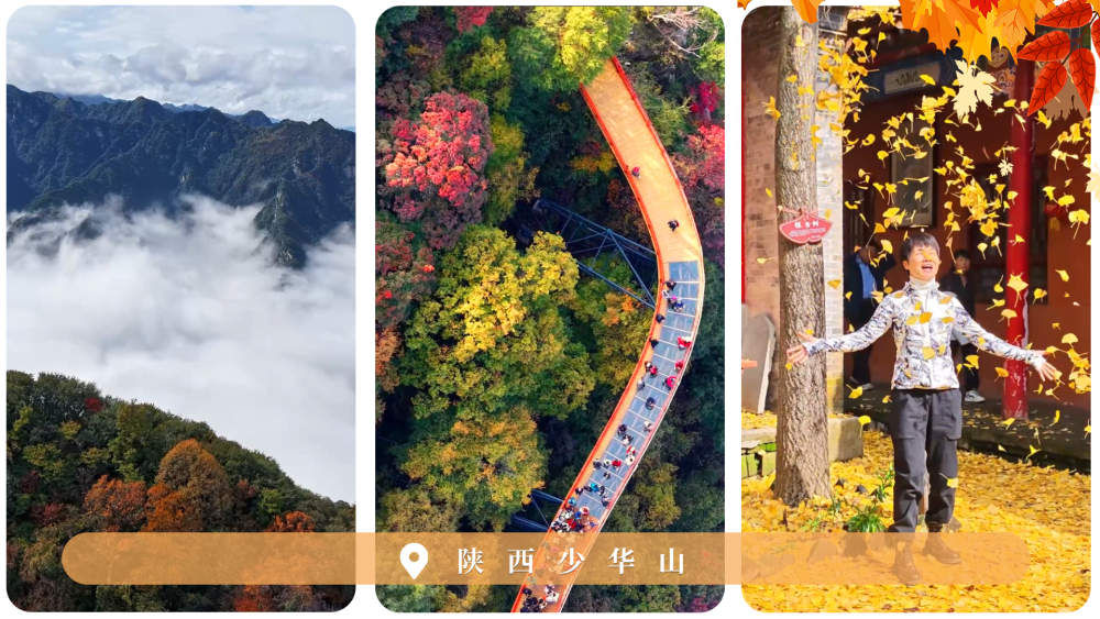 北京各大医院黄牛代挂号电话票贩子号贩子网上预约挂号,住院检查加快,文化中国行|赏秋正当时!“文旅+”新业态为秋日经济注入新活力