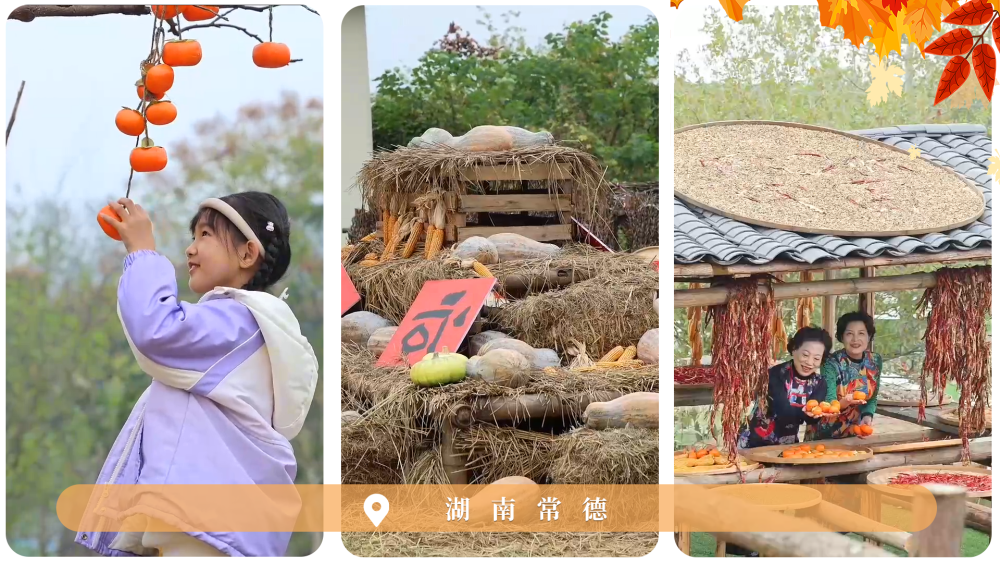 北京各大医院黄牛代挂号电话票贩子号贩子网上预约挂号,住院检查加快,文化中国行|赏秋正当时!“文旅+”新业态为秋日经济注入新活力