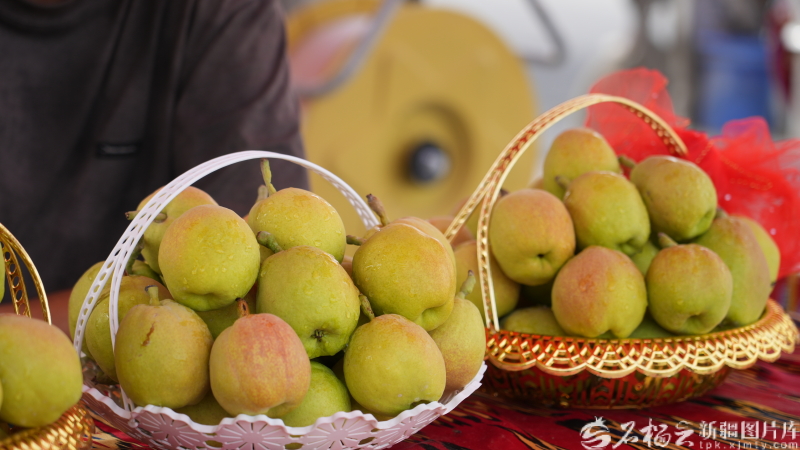 
江苏省中医院黄牛代挂号电话票贩子号贩子网上预约挂号,住院检查加快,奋进的新疆·我们的“十四五”丨天山果香飘万里