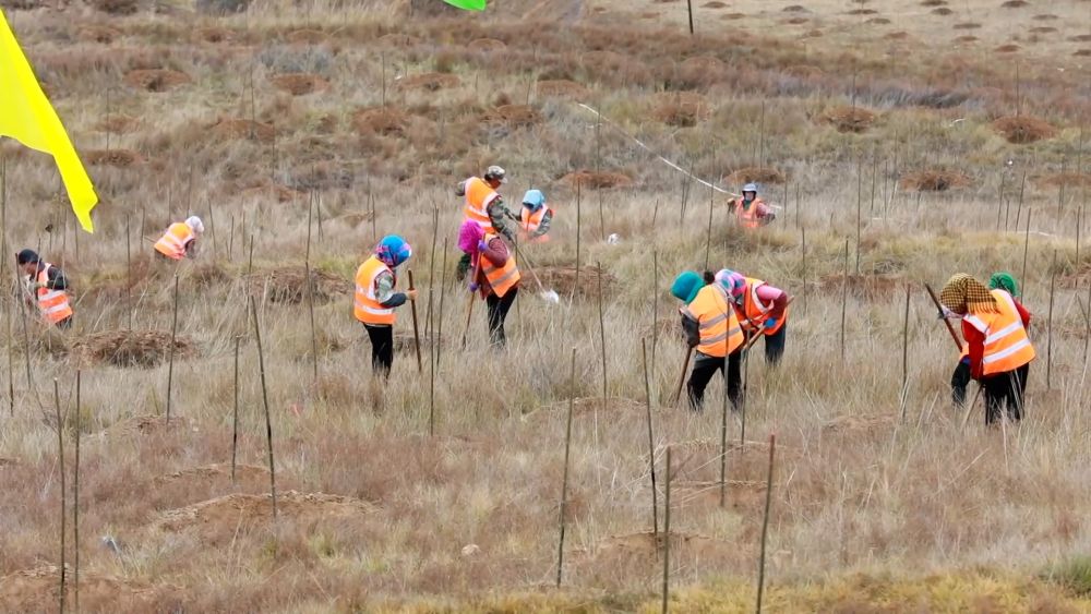 
杭州市第一人民医院黄牛代挂号电话票贩子号贩子网上预约挂号,住院检查加快,新华视点｜乡村振兴路 绿色富民图