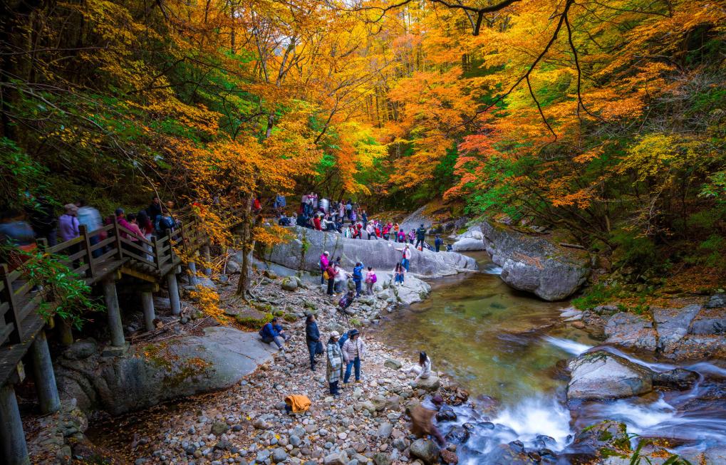 
北京同仁医院黄牛代挂号电话票贩子号贩子网上预约挂号,住院检查加快,热词看未来｜丰富高品质旅游产品供给