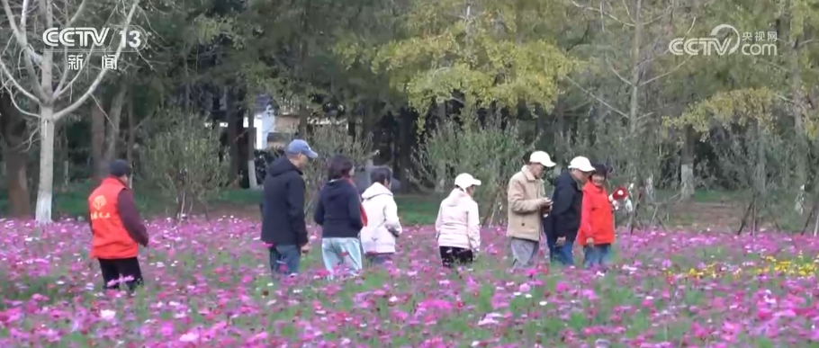 杭州市妇幼保健院黄牛代挂号电话票贩子号贩子网上预约挂号,住院检查加快,换新、升级、扩容,潜力释放!借助关键词多维度感知消费市场强劲活力