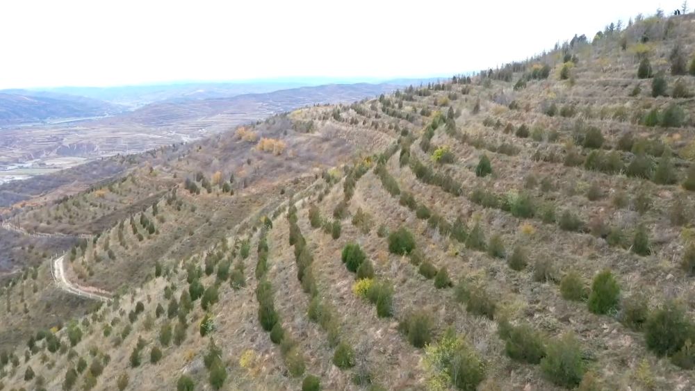 
杭州市第一人民医院黄牛代挂号电话票贩子号贩子网上预约挂号,住院检查加快,新华视点｜乡村振兴路 绿色富民图