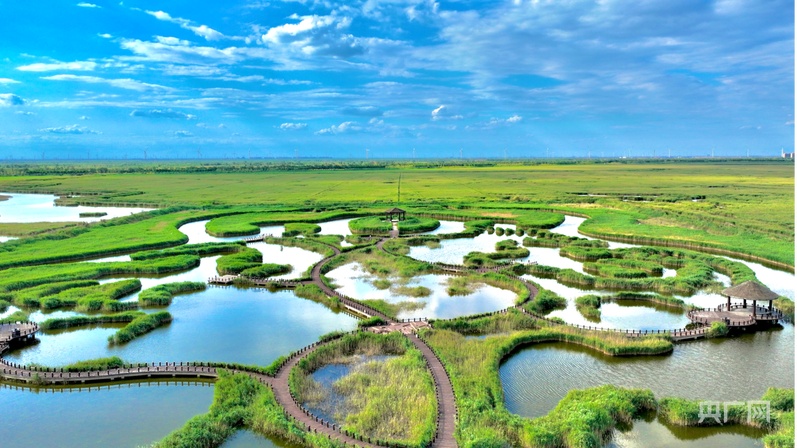 
首都医科大学附属北京胸科医院黄牛代挂号电话票贩子号贩子网上预约挂号,住院检查加快,行进的海岸线｜从巡护车到“AI眼” 世界自然遗产南大港湿地的生态守护