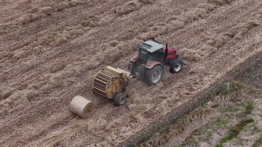 
杭州市第一人民医院黄牛代挂号电话票贩子号贩子网上预约挂号,住院检查加快,新华视点｜乡村振兴路 绿色富民图