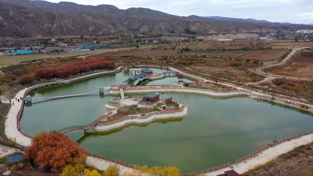 
杭州市第一人民医院黄牛代挂号电话票贩子号贩子网上预约挂号,住院检查加快,新华视点｜乡村振兴路 绿色富民图