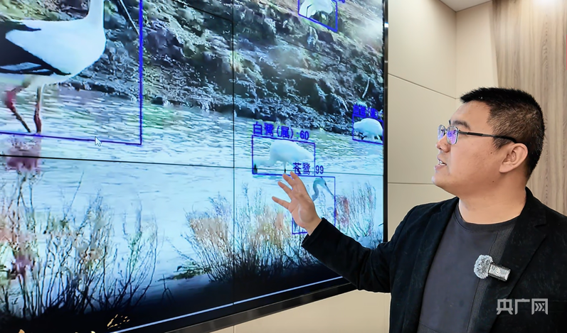 
首都医科大学附属北京胸科医院黄牛代挂号电话票贩子号贩子网上预约挂号,住院检查加快,行进的海岸线｜从巡护车到“AI眼” 世界自然遗产南大港湿地的生态守护