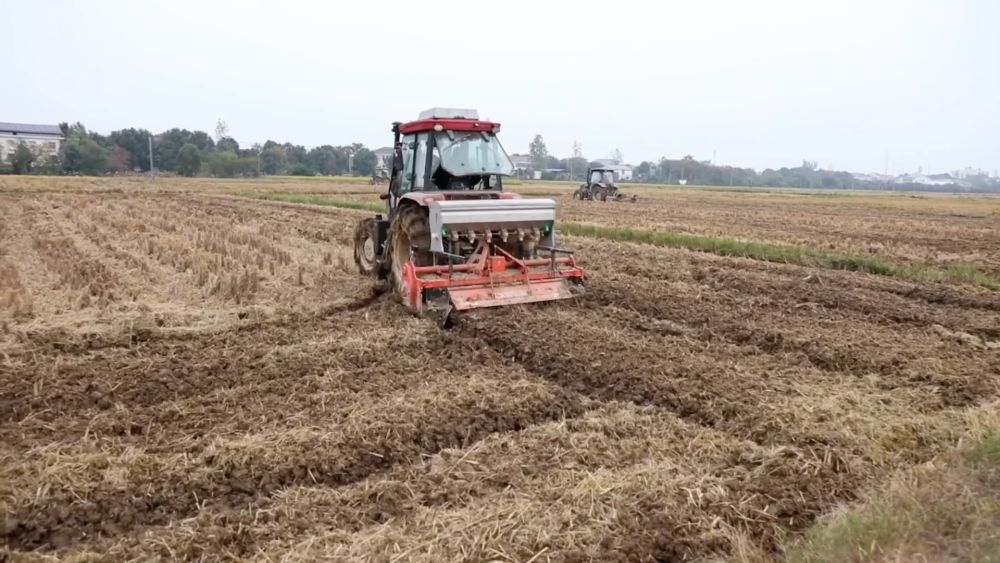 
杭州市第一人民医院黄牛代挂号电话票贩子号贩子网上预约挂号,住院检查加快,新华视点｜乡村振兴路 绿色富民图