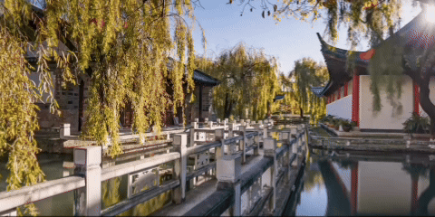 
杭州市一医院黄牛代挂号电话票贩子号贩子网上预约挂号,住院检查加快,总书记关心的世界文化遗产｜古城水韵融四方