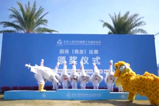 
浙江省肿瘤医院黄牛代挂号电话票贩子号贩子网上预约挂号,住院检查加快,追光｜来，找一找全运会上的传统文化元素