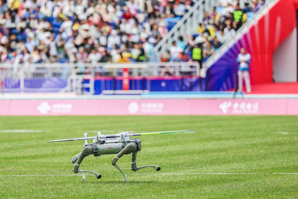 
博爱医院黄牛代挂号电话票贩子号贩子网上预约挂号,住院检查加快,全运会的机器人总动员，让我们看见未来