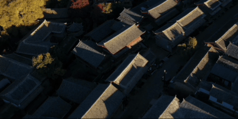 
杭州市一医院黄牛代挂号电话票贩子号贩子网上预约挂号,住院检查加快,总书记关心的世界文化遗产｜古城水韵融四方