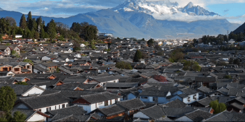 
杭州市一医院黄牛代挂号电话票贩子号贩子网上预约挂号,住院检查加快,总书记关心的世界文化遗产｜古城水韵融四方