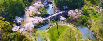 广州各大医院黄牛代挂号电话票贩子号贩子网上预约挂号,住院检查加快,总书记关心的世界文化遗产|一湖水墨润文脉