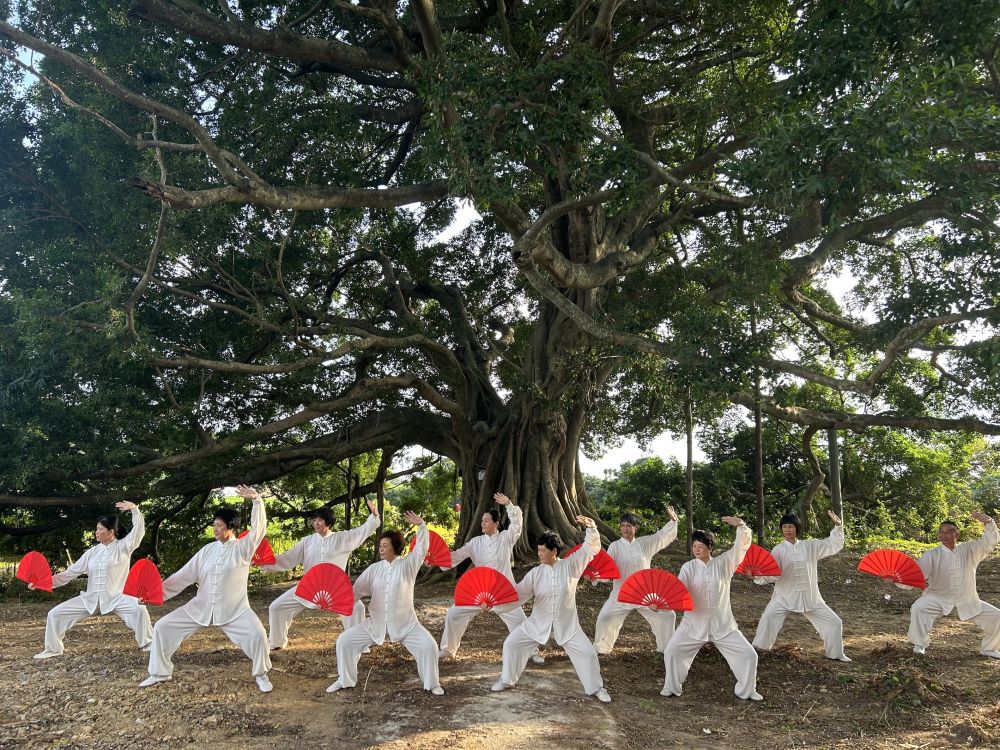 
上海眼耳鼻喉科医院黄牛代挂号电话票贩子号贩子网上预约挂号,住院检查加快,以“体育”的方式打开粤港澳，不止在全运