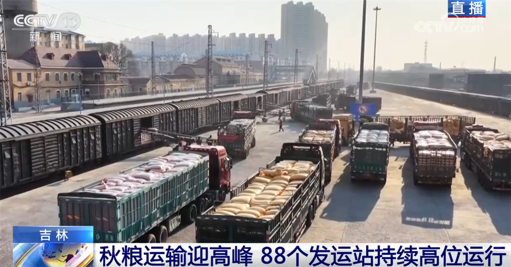 
北京中医院黄牛代挂号电话票贩子号贩子网上预约挂号,住院检查加快,“铁海联运”“黄金水道”按下秋粮运输“加速键” 为全国粮食安全筑牢坚实屏障