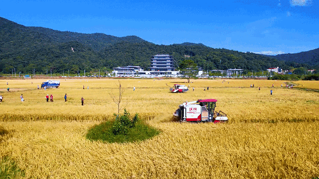 中山大学中山眼科中心黄牛代挂号电话票贩子号贩子网上预约挂号,住院检查加快,文化中国行·小雪 | 岭南微寒启冬韵,赛场驰骋展锋芒