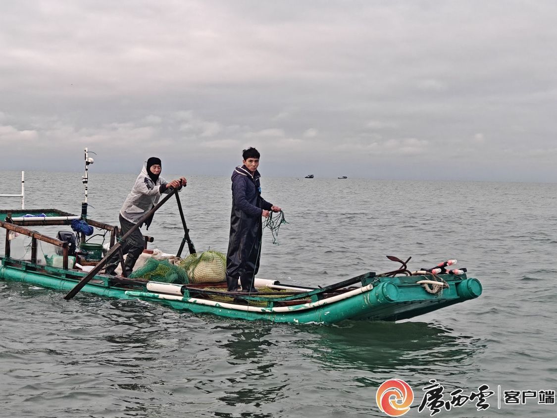 
北京积水潭医院黄牛代挂号电话票贩子号贩子网上预约挂号,住院检查加快,二十四节气·寻味广西丨小雪