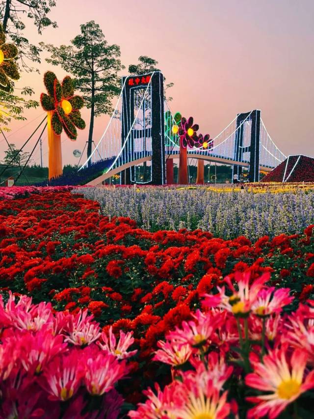 
中山大学中山眼科中心黄牛代挂号电话票贩子号贩子网上预约挂号,住院检查加快,文化中国行·小雪 | 岭南微寒启冬韵，赛场驰骋展锋芒