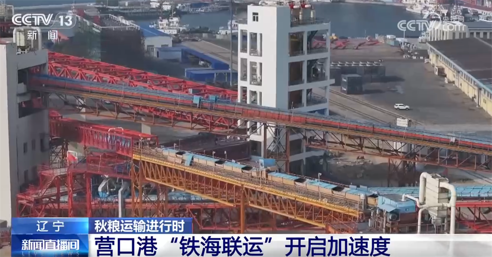 
北京中医院黄牛代挂号电话票贩子号贩子网上预约挂号,住院检查加快,“铁海联运”“黄金水道”按下秋粮运输“加速键” 为全国粮食安全筑牢坚实屏障