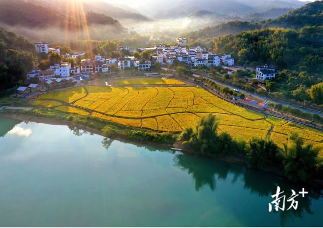 
中山大学中山眼科中心黄牛代挂号电话票贩子号贩子网上预约挂号,住院检查加快,文化中国行·小雪 | 岭南微寒启冬韵，赛场驰骋展锋芒