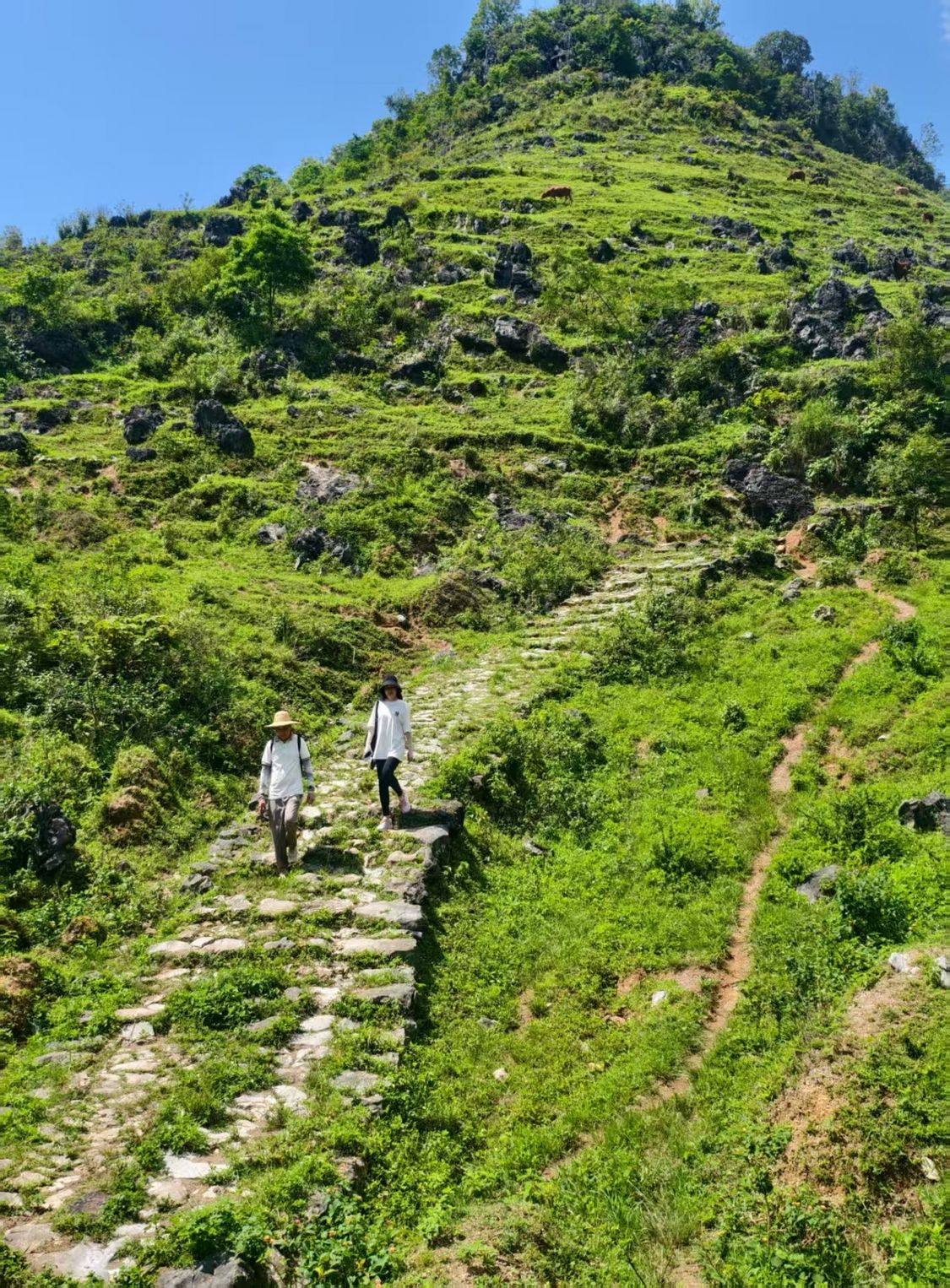 
北京积水潭医院黄牛代挂号电话票贩子号贩子网上预约挂号,住院检查加快,二十四节气·寻味广西丨小雪