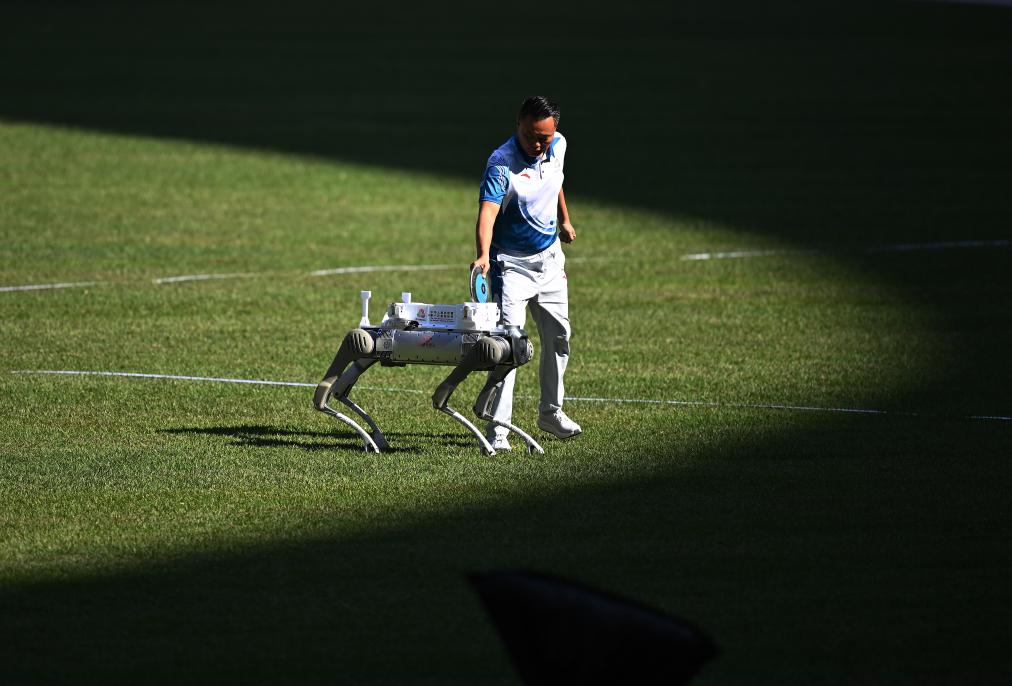 
北京积水潭医院黄牛代挂号电话票贩子号贩子网上预约挂号,住院检查加快,十五运盛会落幕，体育之光照亮大湾区融合新征程