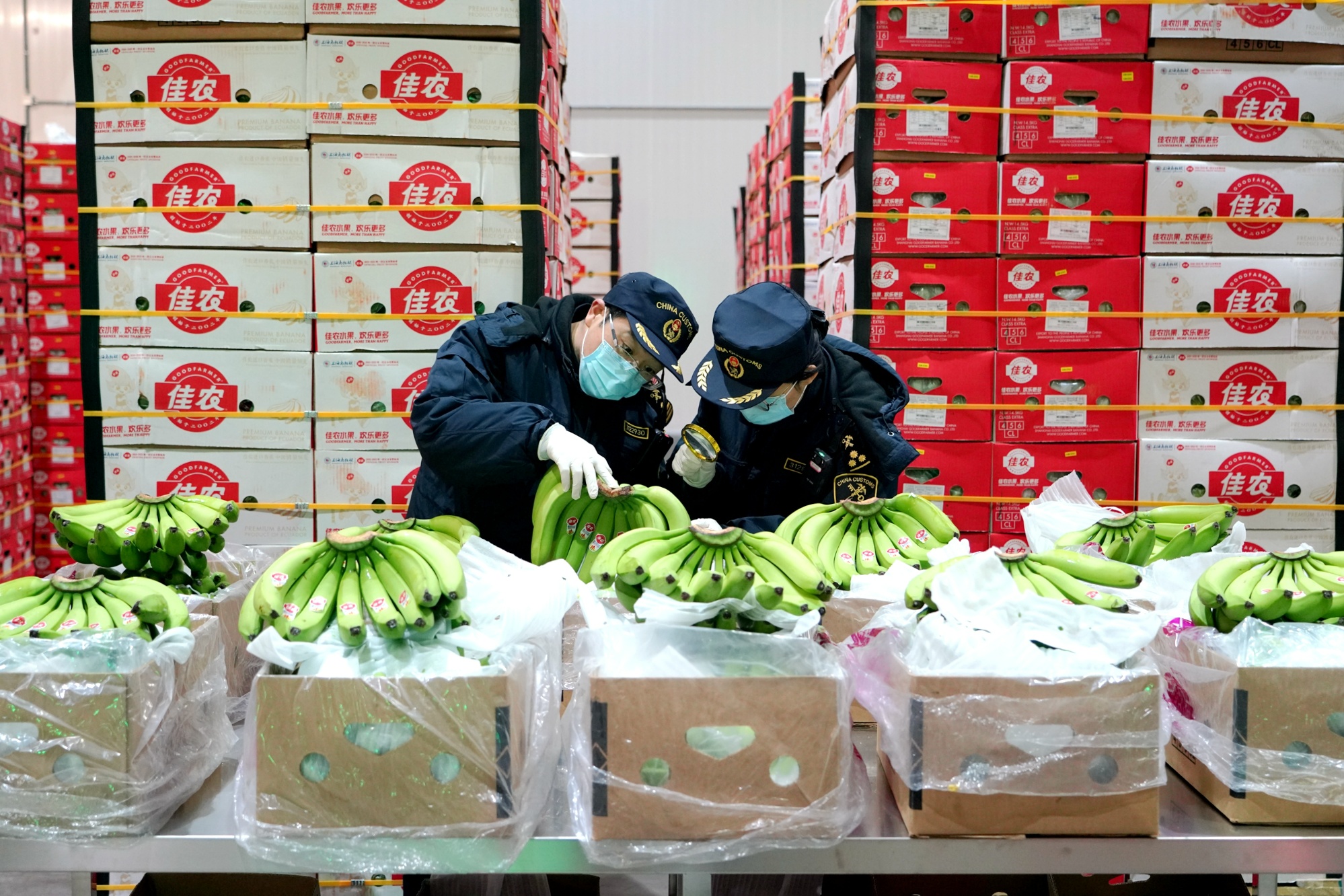 
北医三院黄牛代挂号电话票贩子号贩子网上预约挂号,住院检查加快,行进的海岸线 | 全球“鲜”达中国餐桌 探秘长三角“超级大冰箱”